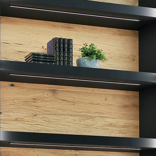 A modern shelf with LED lighting, displaying books and a plant, set against a wooden backdrop.