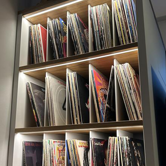 A modern ld8112 record rack displays neatly arranged records, illuminated by an elegant LED lamp.
