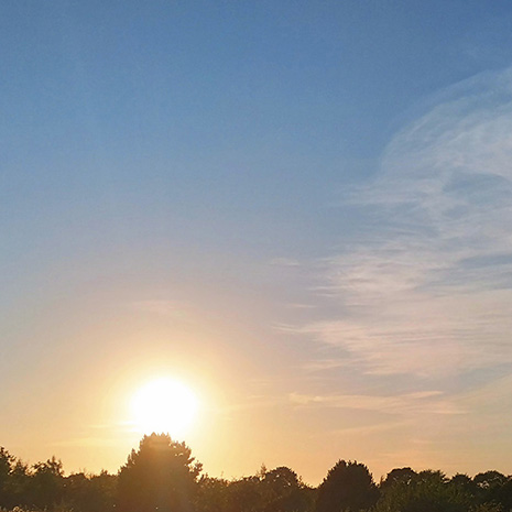 Klarer Morgenhimmel mit Sonnenaufgang hinter einer Reihe von Büschen