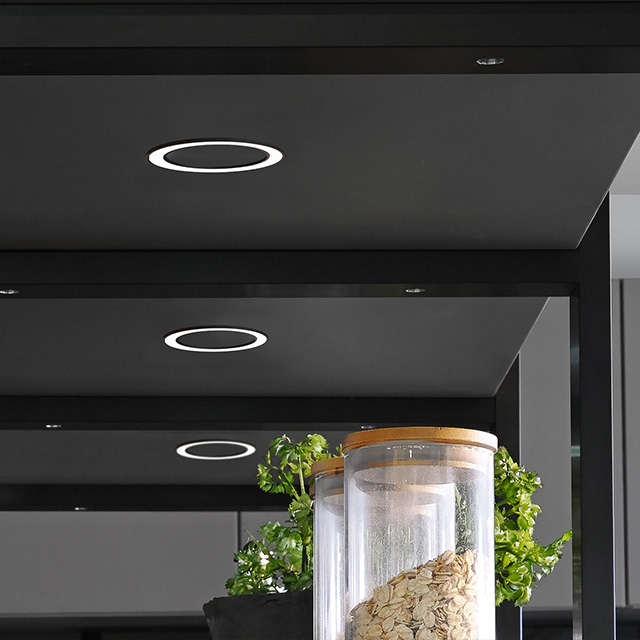 Ein modernes Regal mit runden LED-Lichtern und einem Glasbehälter, der eine Pflanze beherbergt, prägt das stilvolle Ambiente.